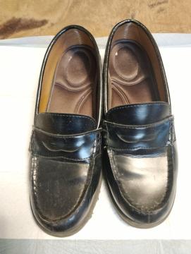 �������݁����[�t�@�[���T�C�Y23cm