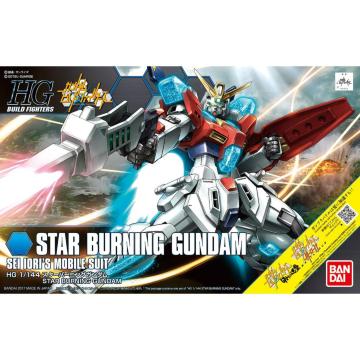 HGBF 1/144 X^[o[jOK_