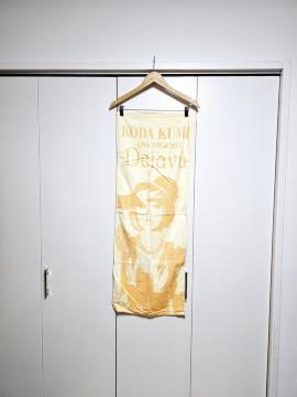 (22) cҖ LIVE TOUR 2011 Dejavu ʃvg X|[c^I F~IW