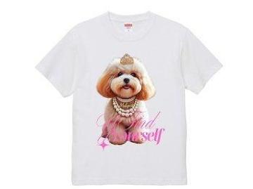 nCNIeB[ TVc }v[@OWA[@ O