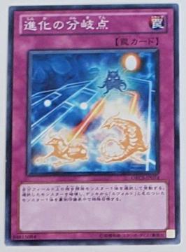 Õi@VY@fGX^[Y@i̕_@P