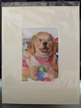 ������ [�J�v�Z���ƃ��g���[�o�[] �z�t���C���X�g�|�X�^�[���V�i