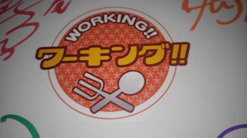 WORKING !!@[LO !!@񔄕i@@F@SN