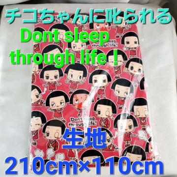 ���݁����g�p�i���`�R������𠮟���遚���n210�~110�p��