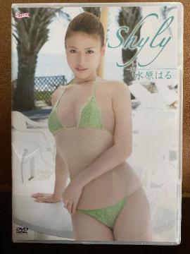͂ shyly Vi DVD  1000