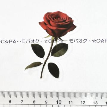 11*sװޭف@݌ɂȂ@86