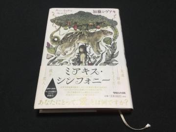 �~�A�L�X�E�V���t�H�j�[ �P�s�{ 2025/2/26 ���� ���Ŗ{ �ѕt �����V�Q�A�L (��)