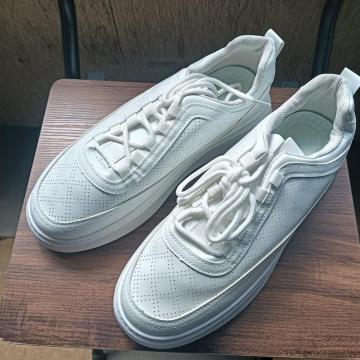 Vi 26cm Y Xj[J[ zCg V[Y C 42 