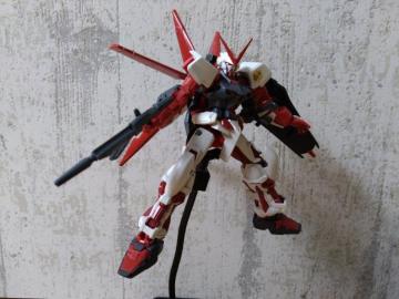 HGEC1/144 K_AXgC@bht[@tCgjbg
