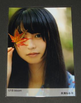 O46 ʐ^P@_˂@U18 bloom