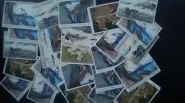 90~؎25Vigpi  9025[6