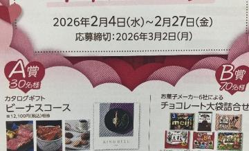 �^�C�A�b�v��12100�~�����J�^���O�M�t�g/�`���R���[�g��܋l�ߍ��킹/100���l1��