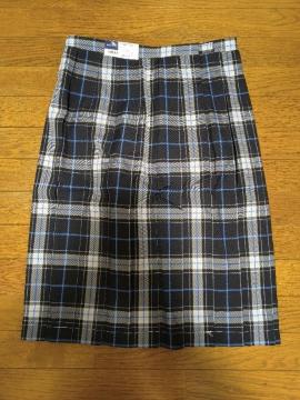 �����������s���M�v���w�Z���q�X�J�[�g�����i