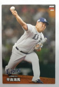 ʗX֑@v싅`bvX2024 055 ǊCn