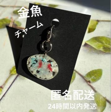 �����`���[���@e ��������