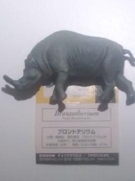 ugeE/׻޳ٽDINOTALES/Cm/UHAo