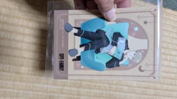 ���C�h�E�t�H�[�W���[�u���}�C�h