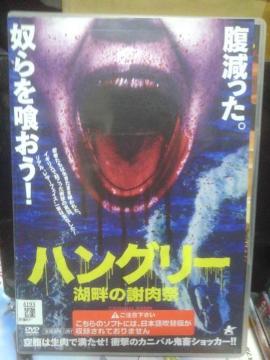 �n���O���[�ΔȂ̎ӓ���