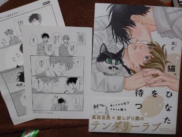 BLAjCgPtyLAЂȂ҂zق