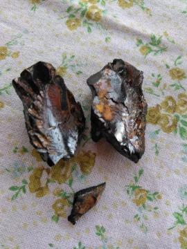 ���A�@�G���[�g�V�����K�C�g�@���΁@����