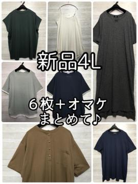 �V�i��4L��V���v��T�V���c�Ȃ�6���{�I�}�P��T�V���c�����s����Q945