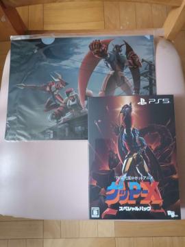 PS5 �Q�bP-X �X�y�V�����p�b�N & ���T�N���A�t�@�C��