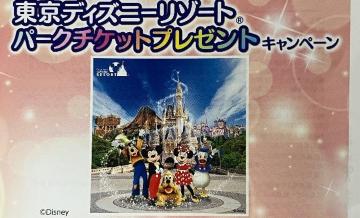 �^�C�A�b�v���f�B�Y�j�[���]�[�g�p�[�N�y�A�`�P�b�g/w���َq�l�ߍ��킹/200���l1��