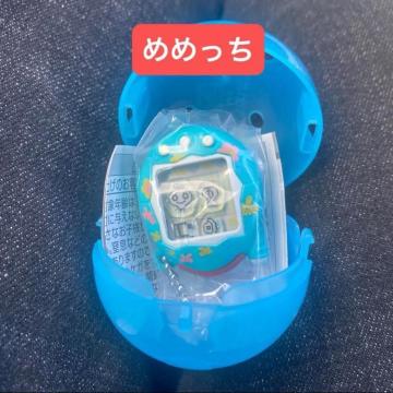 ���܂������@�V���J�V���J�`���[���@�K�`��