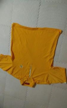 Hole Victory Lサイズ 美品 ポロシャツ 半袖