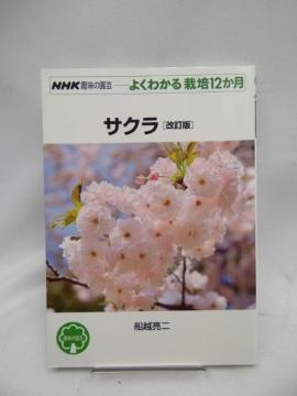 A2407@TN [] (NHK̉| 悭킩͔|12)