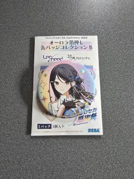 �v���W�F�N�g�Z�J�C ���T��� �ʃo�b�W