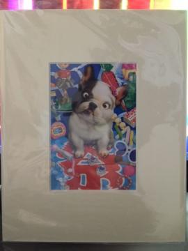 ������ [���Ղ�t�����`�u���h�b�O] �z�t���C���X�g�|�X�^�[