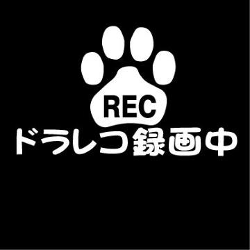 肉球 ドラレコ録画中 A 12センチ