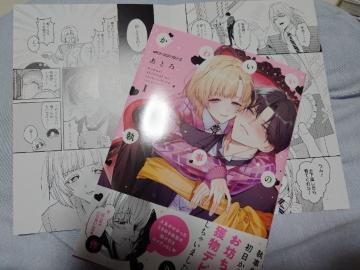 BL�����[�t���b�g�t�y���킢�������̍����@�z���Ƃ�