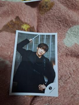 IMP.��r��ʐ^