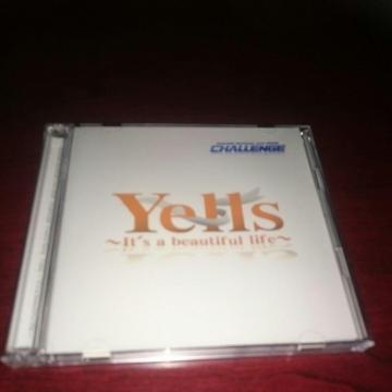 AjT}[Cu2008 [yells[ e[}\O  CD