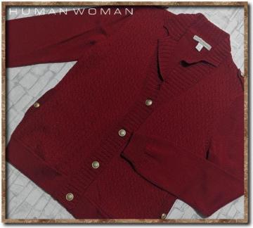 �q���[�}���E�[�}���@�E�[���j�b�g�J�[�f�B�K���@��