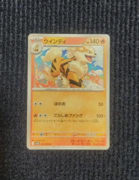 �E�B���f�B�@�|�P�����J�[�h�@���P�b�g�c�̉h��