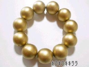 sNewtCanCamޯĶװ嗱߰ްڽ<ް>