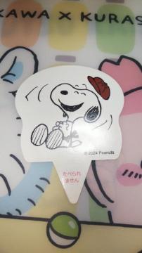 WCtJoyfull~PEANUTSR{Ly[Xk[s[sbNSNOOPY