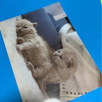 ˂̃t@C@̑i
