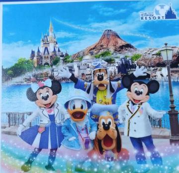 �f�B�Y�j�[�p�[�N�`�P�b�g�y�A1500�g������/1��