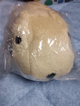 カピバラさん