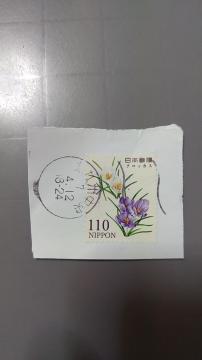 �k�g�p�ςݐ؎�l���{�@�N���b�J�X