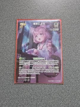 zCuJ[h ߂ SR
