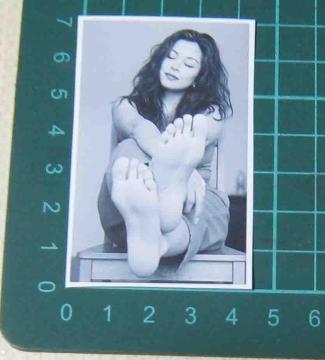 �t�F�e�B�b�V���@�X�e�b�J�[