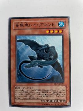 遊戯王【水・竜影魚レイブロント】