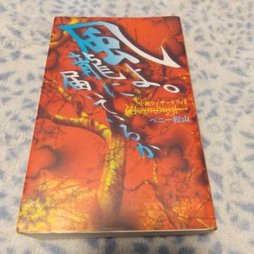 ����B���ɓ͂��Ă��邩 �����E�B�U�[�h���BII �x�j�[���R