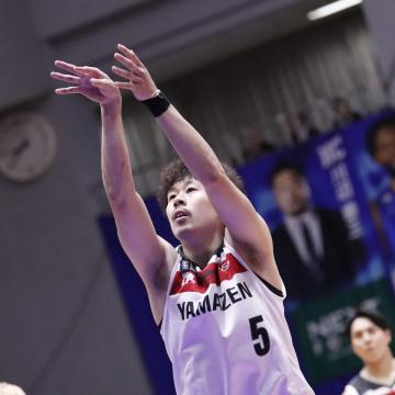 #5 Y DI蒅pEMTC胆jtH[iAWAYj ㉺Zbg@CSbydl