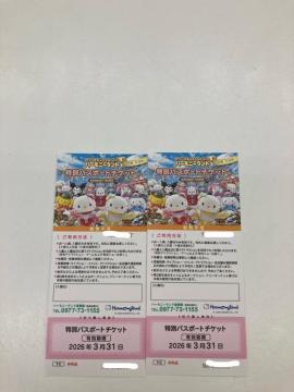 サンリオハーモニーランド 特別パスポート 2枚